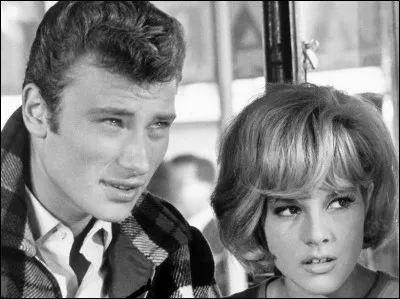 Sylvie Vartan a chanté ''Tes tendres années'' pour Johnny Hallyday au Parc des Princes en 1993. Que fêtait le chanteur en juin de cette année-là ?