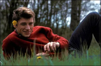 ''Elle est terrible'' est une chanson de Johnny Hallyday. Qu'a-t-on baptisé ''Le Terrible'' dans la marine française ?