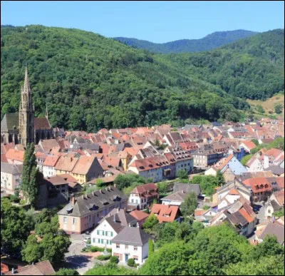 Cette petite ville alsacienne de 7800 habitants, sous-préfecture du Haut-Rhin, c'est ...