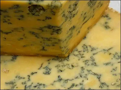 Quel est ce fromage à pâte persillée anglais célèbre ?