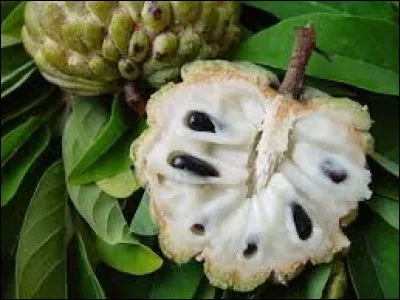 Le fruit sur la photo est une chérimole.