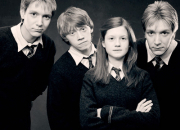 Test  quelle famille de la saga 'Harry Potter' appartiens-tu ?