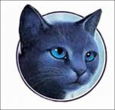 Qui était chef lorsque Lune Bleue a été nommée lieutenant ?