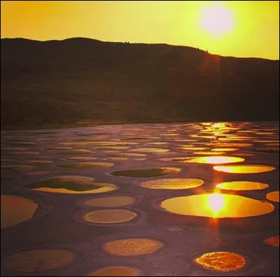 Le "Spotted Lake" présente des taches étranges, qui ne sont pas dues à la pollution. N'étant pas relié à la mer, c'est un lac dit "...". Où se trouve-t-il ?