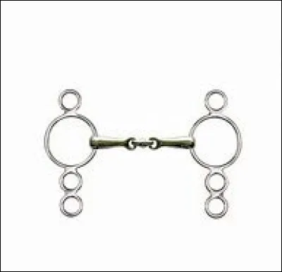 Comment s'appelle ce mors ?