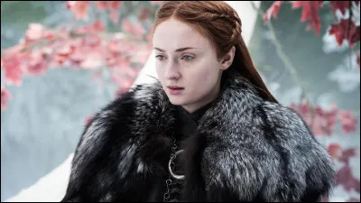 Que possèdent les enfants Stark ?