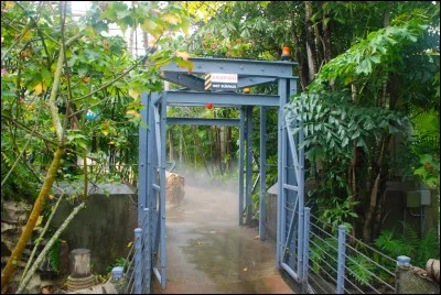 Qu'est-ce qui ravage le camp de l'équipe de Peter ?