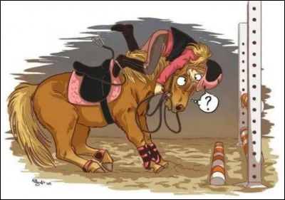 Qu'est-ce que la sole ?