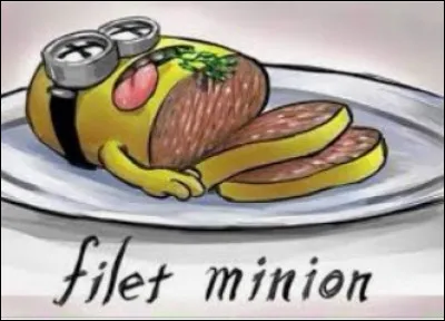 Qu'est-ce que le filet ?