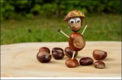 Qu'est-ce que la châtaigne ?