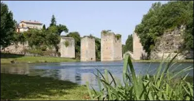 Vous avez sur cette image les ruines du château de Lussac-les-Châteaux. Ville Viennoise, elle se situe dans l'ancienne région ...