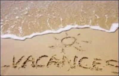 Qu'aimeriez-vous faire pendant les vacances ?