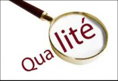 Quelle est ta plus grande qualité ?