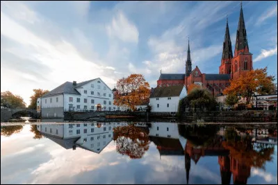 Dans quel pays se situe la ville d'Uppsala ?
