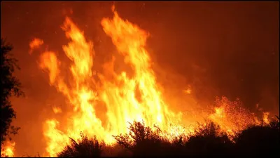 Quelle Winx a le pouvoir du feu ?