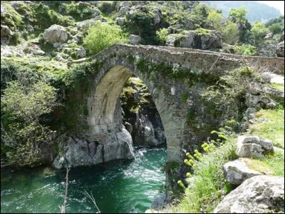 Quel est le nom de ce type de pont, typiquement corse ?