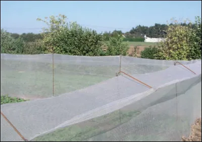 Quels sont les avantages des filets verticaux anti-insectes ? (2 r&eacute;ponses attendues)
