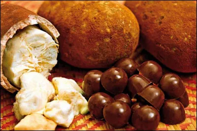 Il faut beaucoup de travail pour extraire le jus de ce fruit, mais le résultat en vaut la peine !