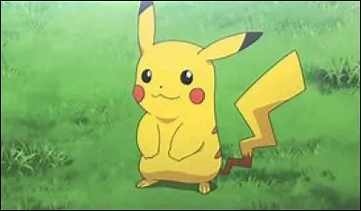 Quel est ce Pokémon ?