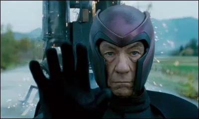 Qui est le personnage interprété par Ian McKellen ?