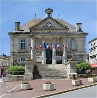 Ville au c�ur du vignoble Charentais, Ch&acirc;teauneuf-sur-Charente se situe en r&eacute;gion ...