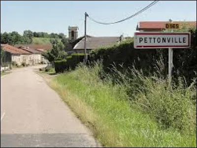 Nous sommes dans le Grand-Est, &agrave; l'entr&eacute;e de Pettonville. Petit village de 67 habitants, dans le nouveau canton de Baccarat, il se situe dans le d&eacute;partement ...