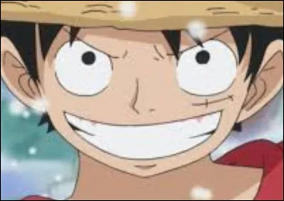 Comment s'est-il fait sa cicatrice près de l'il ?