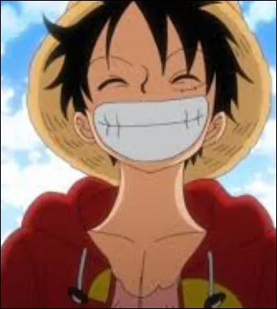 Qu'aime faire Luffy ?