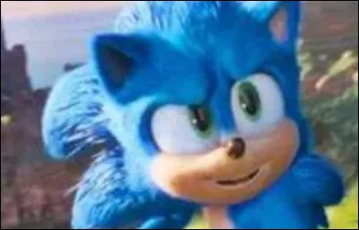 Apparaît-il dans ''Sonic le film'' ?