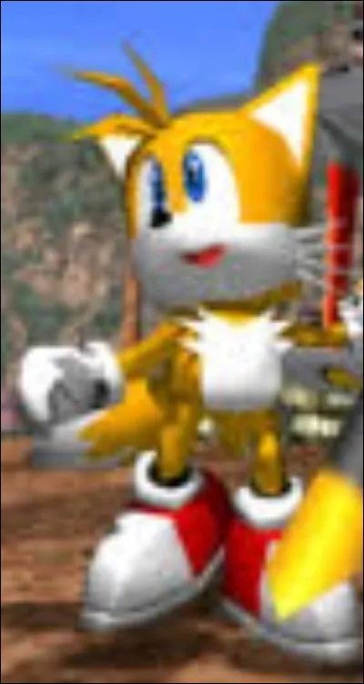 Pourquoi tout le monde l'appelle Tails ?