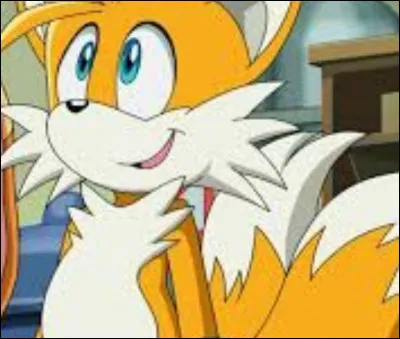 Quel âge a-t-il dans ''Sonic X'' ?