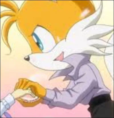 De qui était-il amoureux dans ''Sonic X'' ?