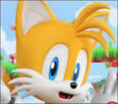 Quel âge a-t-il dans le jeu ''Sonic Generations'' ?