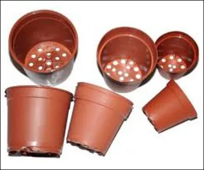 Quelle phrase est correcte à propos des pots en plastique ?