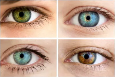 De quelle couleur sont les yeux d'Harry Potter ? Ils sont ...