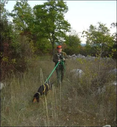 Comment sont appels les chiens qui servent  faire le pied le matin ?