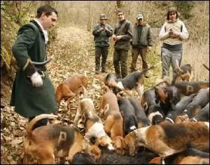 Quand l'animal est mang par les chiens, c'est