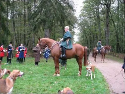 Quelle est la personne qui dirige une chasse  courre ?