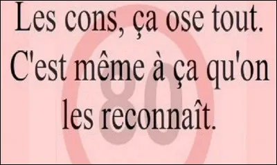 Qui a dit ''Les cons, ça ose tout, c'est même à ça qu'on les reconnait'' ?