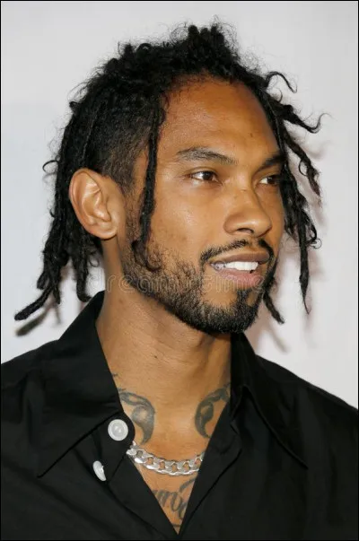 Qui est ce chanteur ?