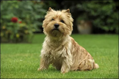 Comment &eacute;crit-on son nom ?