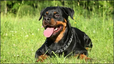 Trouvez son orthographe !