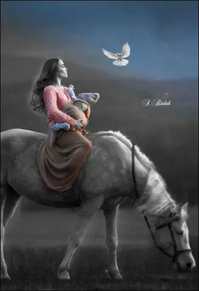 De quelle couleur est la robe du cheval appel&eacute; "camargue" ?