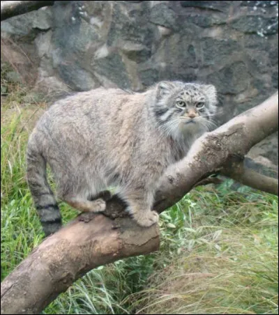 Localisation : Asie Centrale !