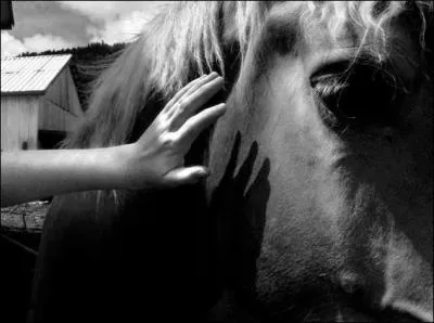 Quel est le mot qui a le mme sens que 'frler' ?