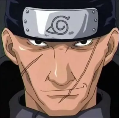 Un visage couvert de cicatrices est un visage ...