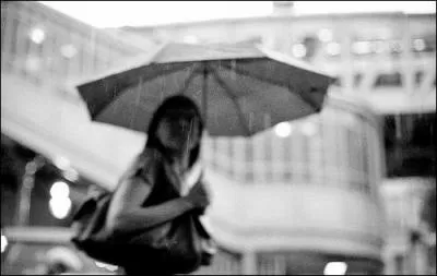 Comment appelle-t-on une pluie fine et serre ?