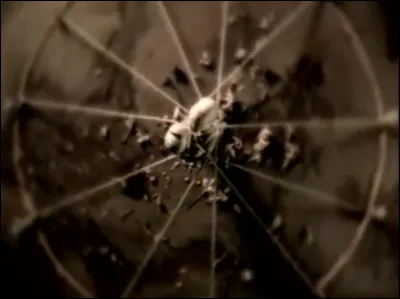 Complétez les paroles de ce vers du troisième couplet : 
"Je/J' ... des langages
 Pour chanter tes louanges"