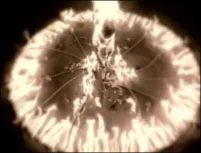 Complétez les paroles de ce vers du troisième couplet : 
"Je m'inventerai reine
 Pour que tu me ..."