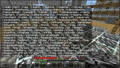 Comment change-t-on son nom sur certains serveurs Minecraft ?